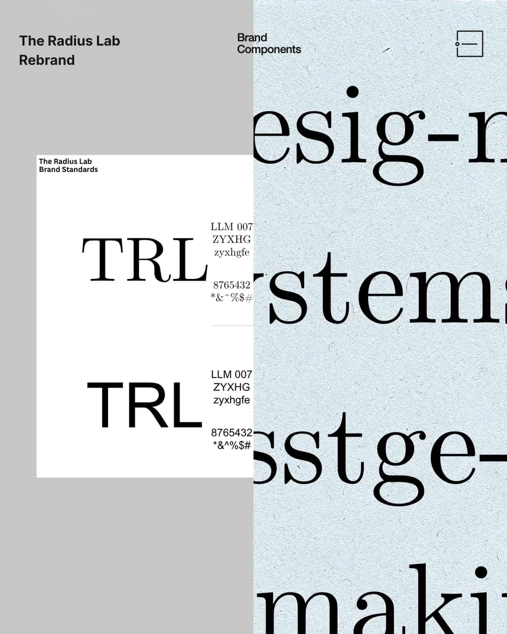 The Radius Lab’s typography and brand standards, shown in its original identity series.